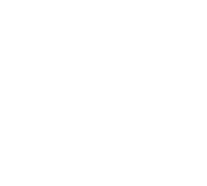 Flatiron Retail Advisors logo in white color on transparent background