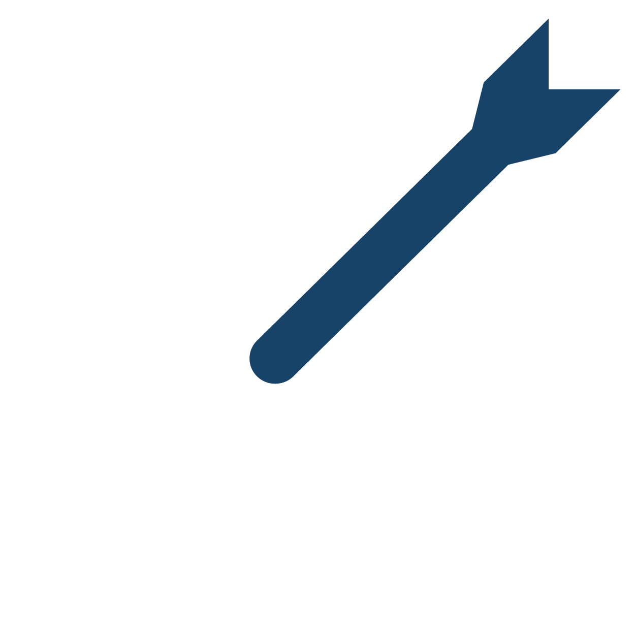 key focus areas icon